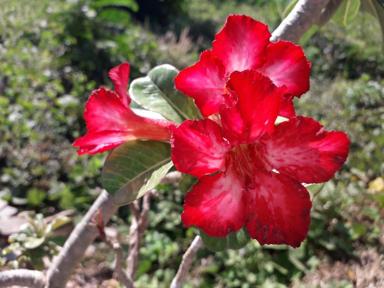 Lanta Lucky House Hotel Ko Lanta Екстериор снимка